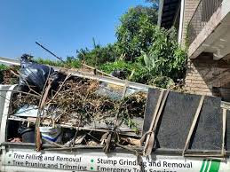 Best Basement Cleanout  in Mount Vernon, IN