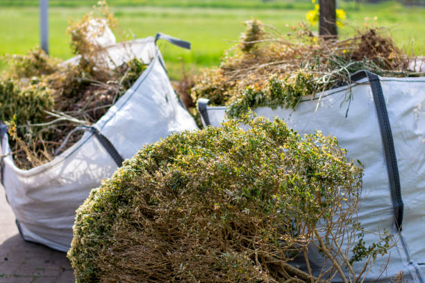 Best Residential Junk Removal  in Mount Vernon, IN